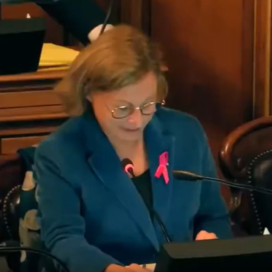 Réitération et modification des garanties d’emprunts finançant divers programmes de créations de logements sociaux